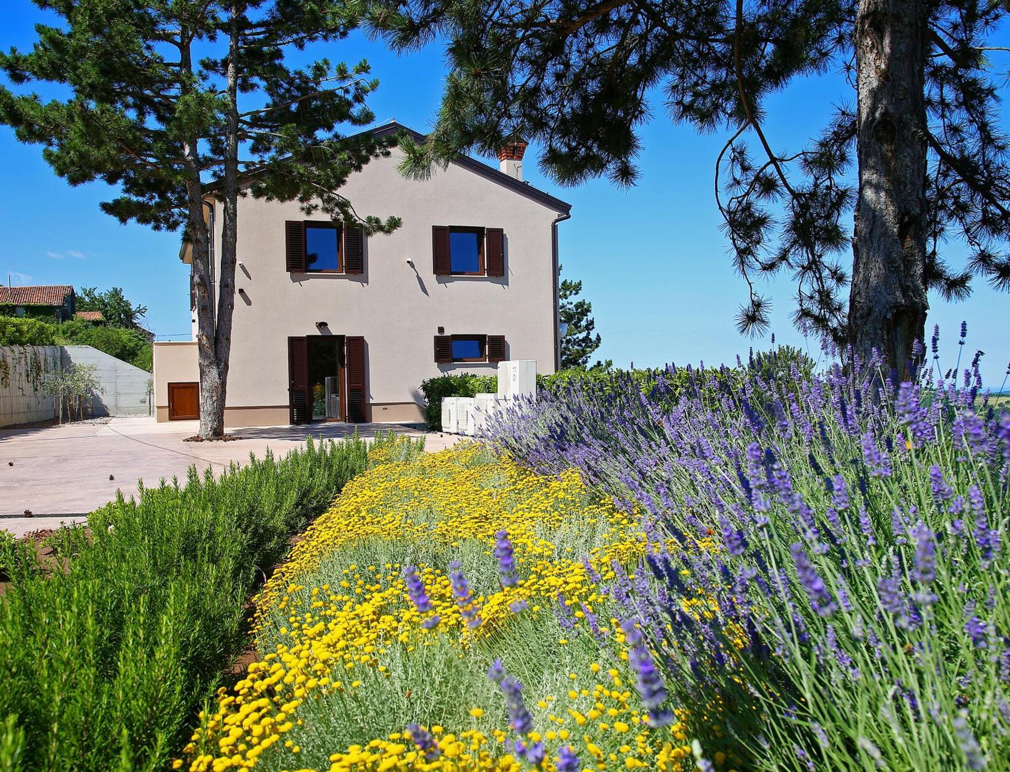 Luxury Villa Gradin Gracisce Экстерьер фото